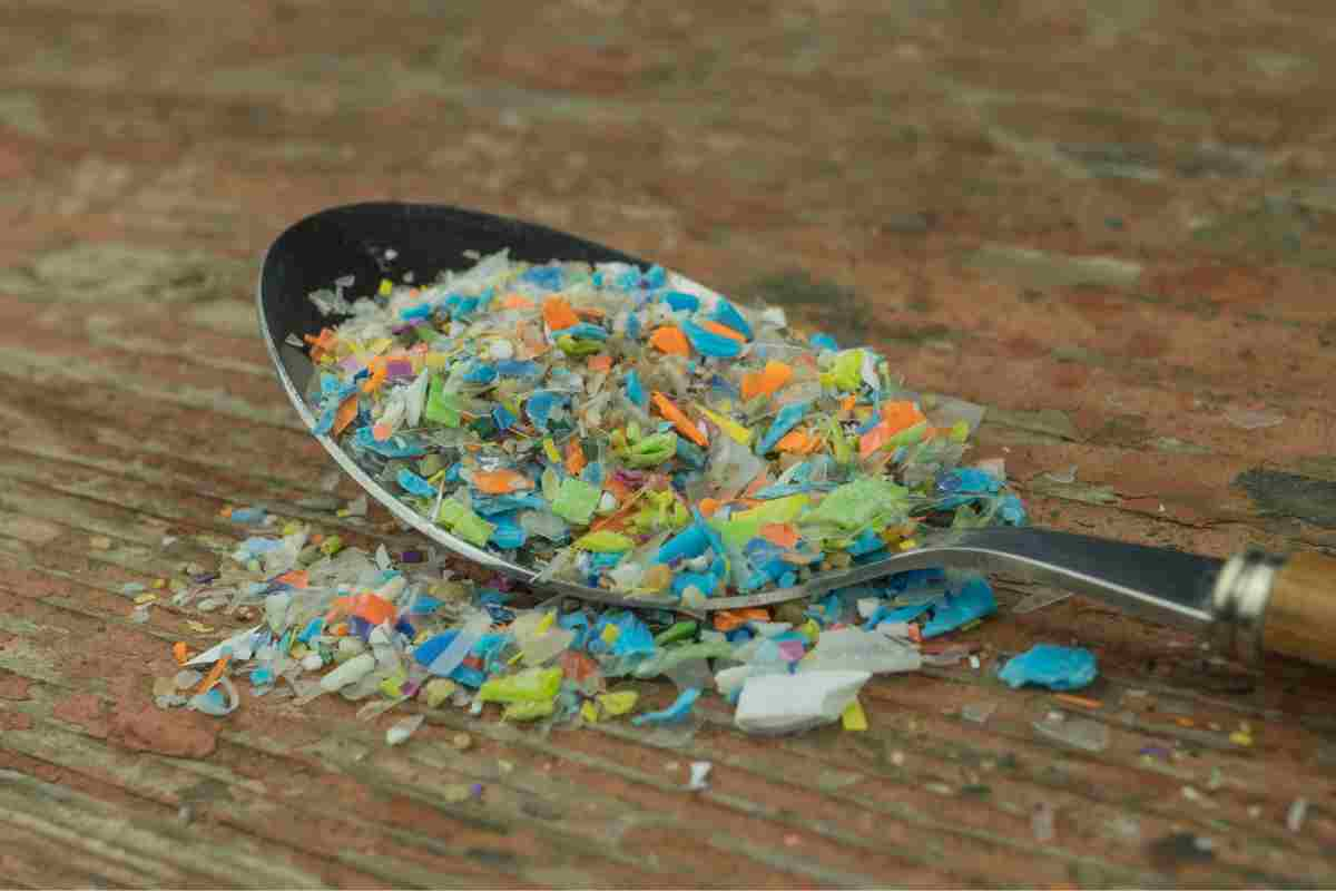 scoperte microplastiche cervello umano 