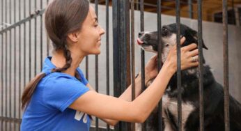 Guardie zoofile: inaugurato un nuovo nucleo operativo in una bella città italiana